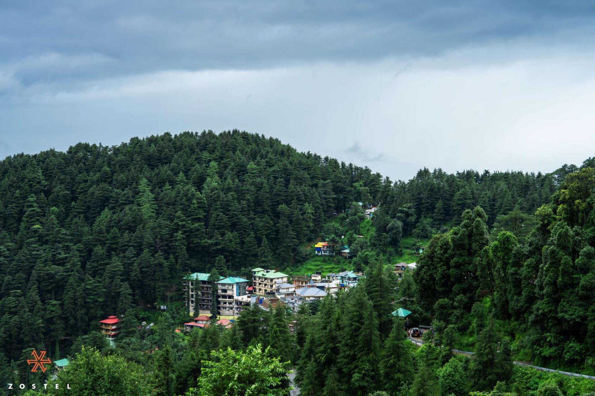 Хостел Zostel Dharamkot Мак-Леод-Гейндж Экстерьер фото